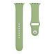 Ремінець для Apple Watch Band Silicone One-Piece Size-S 42/44/45/49 mm 01.Mint 2000000428864 фото