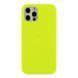 Чехол Silicone Case Full Size (AA) для iPhone 11 Pro Max 40.Shiny Green 2020000227397 фото