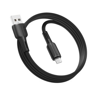 USB Ridea RC-CO10 CommonPro Type-C 3A Цвет Черный 6908013700037 фото