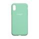 Чехол Silicone Case Full Size (AA) для iPhone Xs Max 47.Spearmint 2020000148746 фото