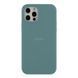 Чехол Silicone Case Full Size (AA) для iPhone 12/12 Pro 65.Cactus Color 2020000235750 фото
