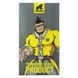 Захисне скло Type Gorilla 0.33 мм 2.5D HD Anti-Peep NPT14 для iPhone 13 Pro Max/14 Plus Чорний 6934663701711 фото 4