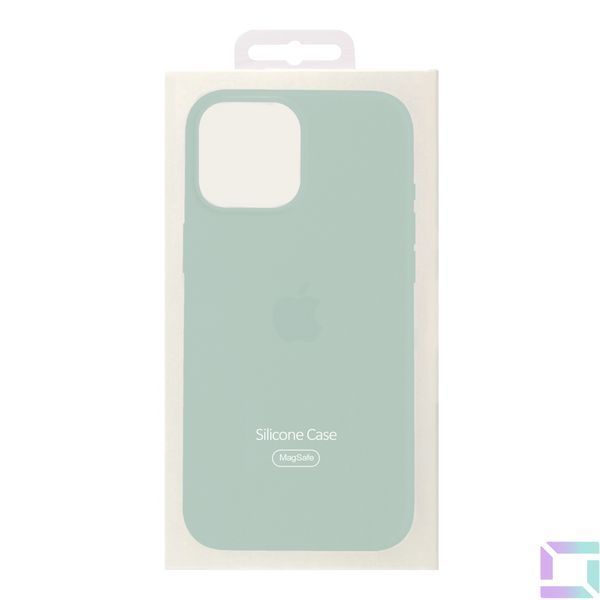 Чохол Silicone Case with MagSafe для iPhone 14 Pro Max Succulent 2020000329237 фото