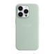 Чохол Silicone Case with MagSafe для iPhone 14 Pro Max Succulent 2020000329237 фото 1