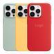 Чохол Silicone Case with MagSafe для iPhone 14 Pro Max Succulent 2020000329237 фото 2