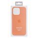 Чехол Silicone Case with MagSafe+SplashScreen для iPhone 13 Pro Pink Pomelo 2020000274971 фото 2