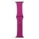 Ремінець для Apple Watch Band Silicone One-Piece Size-S 42/44/45/49 mm 48.Dragon Fruit 2020000277453 фото