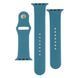 Ремешок для Apple Watch Band Silicone Two-Piece 42/44/45/49 mm 65.Cactus Color 2020000268024 фото
