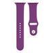 Ремінець для Apple Watch Band Silicone One-Piece Size-S 42/44/45/49 mm 43.Grape 2020000247173 фото