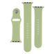 Ремешок для Apple Watch Band Silicone Two-Piece 42/44/45/49 mm 61.Avocado Green 2020000268000 фото