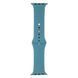 Ремінець для Apple Watch Band Silicone One-Piece Size-S 42/44/45/49 mm 65.Cactus Color 2020000247180 фото