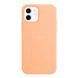 Чехол Silicone Case with MagSafe для iPhone 12/12 Pro Cantaloupe 2020000347255 фото