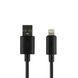 USB Hoco X88 Gratified Lightning 2.4A Черный 6931474783301 фото