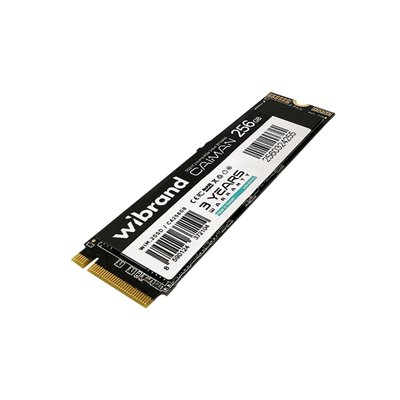 SSD M.2 Wibrand Caiman 256GB NVMe 2280 PCIe 3.0 3D NAND (WIM.2SSD/CA256GB) 50871 фото