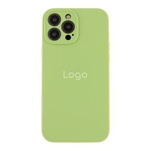 Чехол Silicone Case Full Size with Frame для iPhone 13 Pro 01.Mint 2020000349723 фото