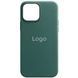 Чохол Leather Case для iPhone 14 Pro Pine Needle Green 2020000310211 фото