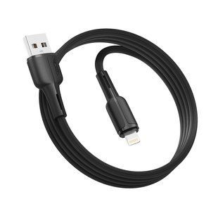 Кабель USB Ridea RC-CO10 CommonPro 12W Lightning Чорний 6908013700051 фото