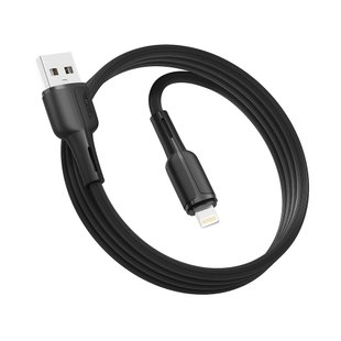 USB Ridea RC-CO10 CommonPro 12W Lightning Цвет Черный 6908013700051 фото